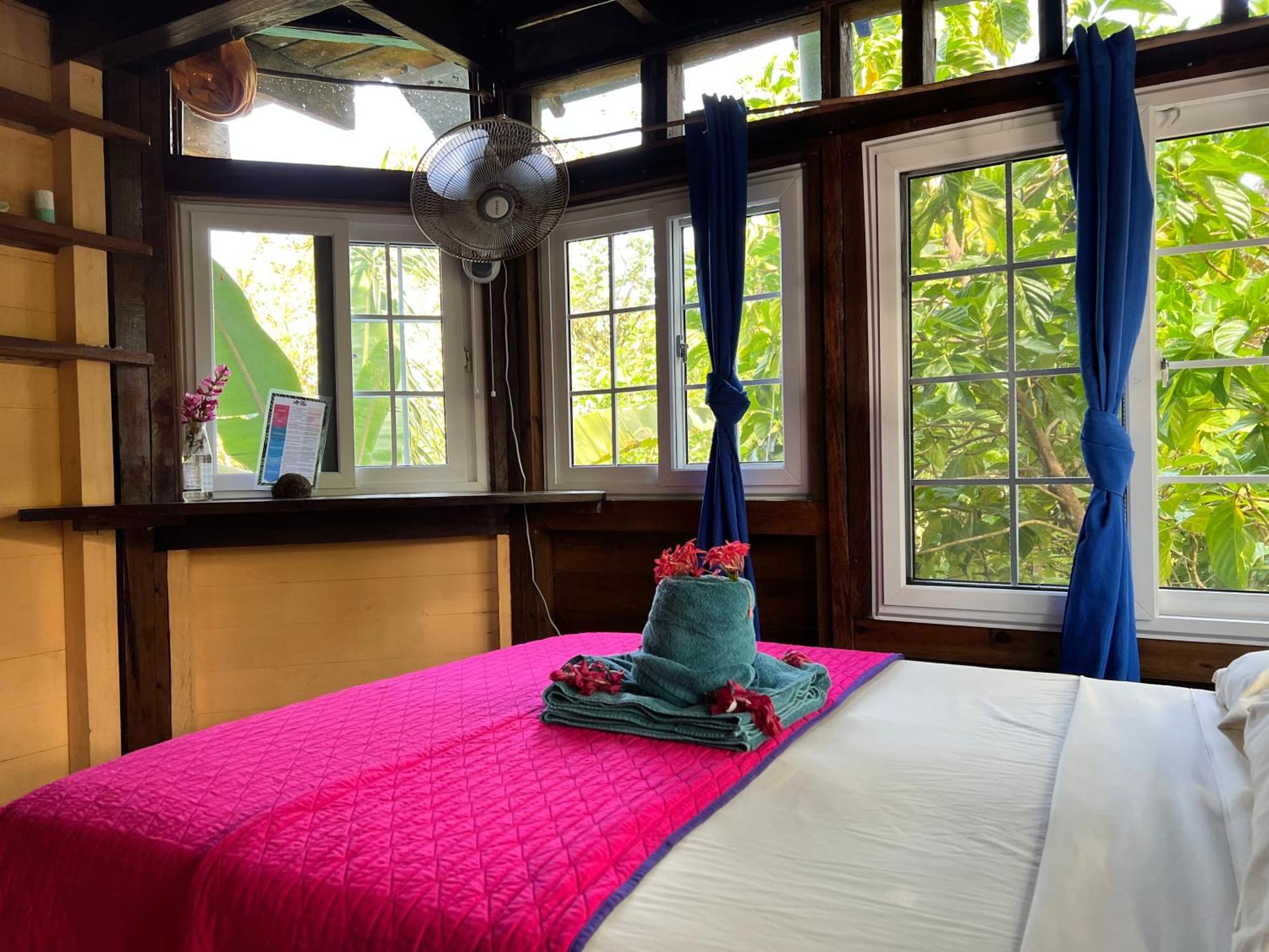 Tesoro Escondido Ecolodge Cabinas Bocas del Toro Kamer foto